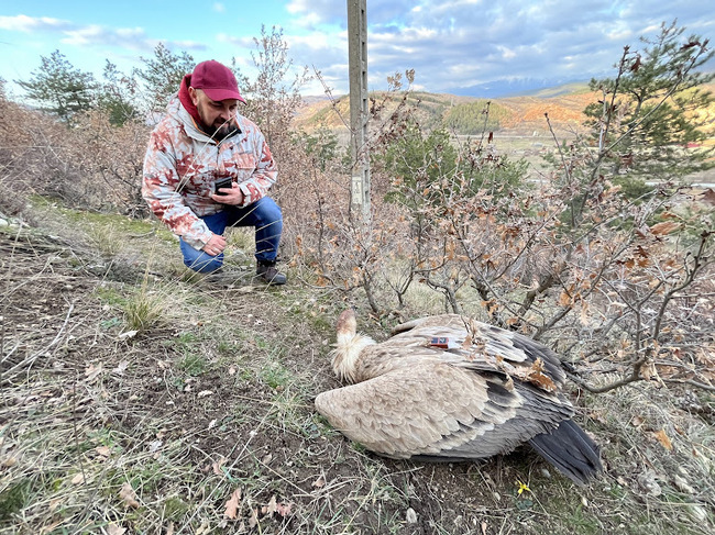 Екоминистерството подкрепя законодателни промени във връзка случаи на насилие над животни