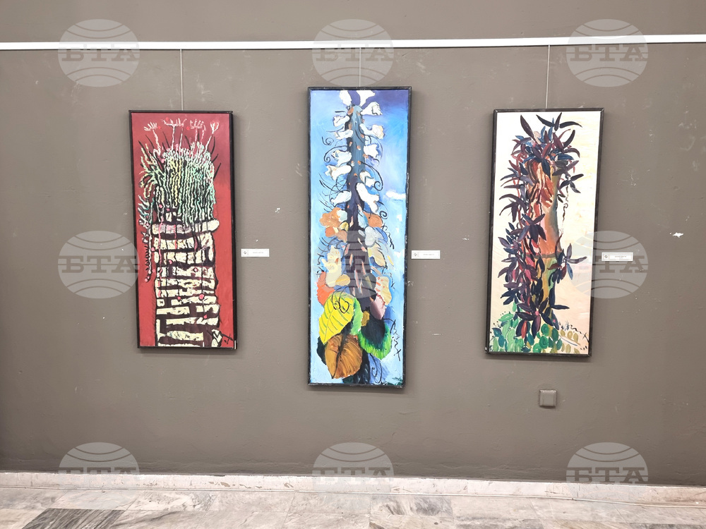 Плевен - Вихрони Попнеделев - изложба