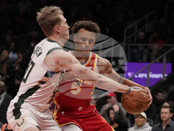 Bucks Hawks Basketball