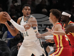 Bucks Hawks Basketball