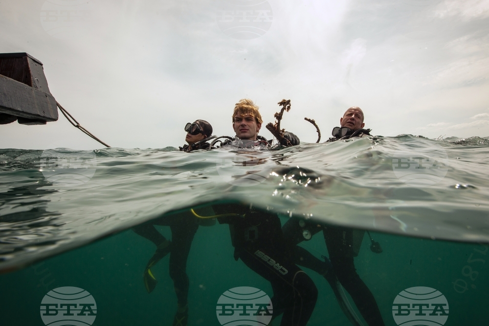 Climate Vietnam Coral Reefs