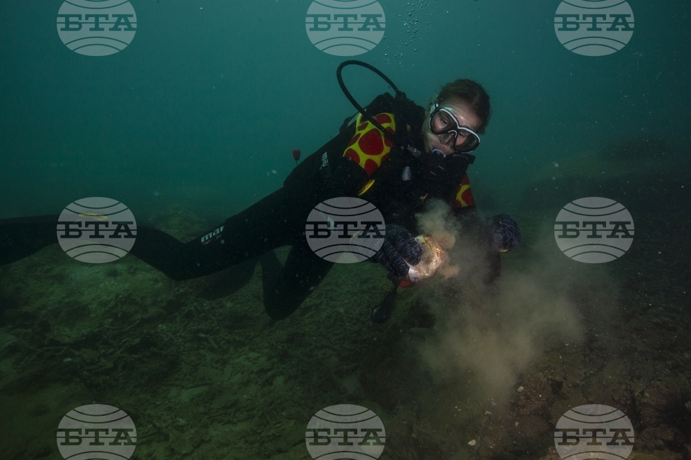 Climate Vietnam Coral Reefs
