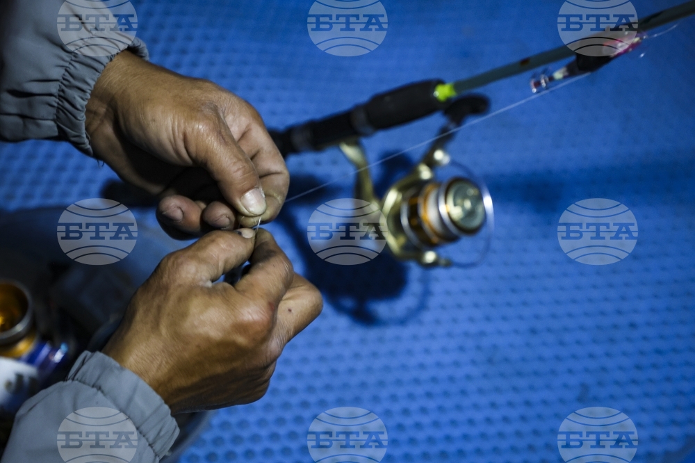 ВНА: Риболовният сектор на Виетнам разнообразява пазарите за износ