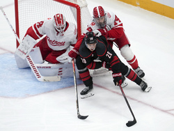 Hurricanes Red Wings Hockey