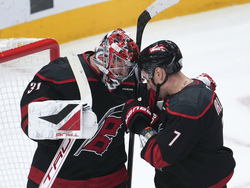 Hurricanes Red Wings Hockey