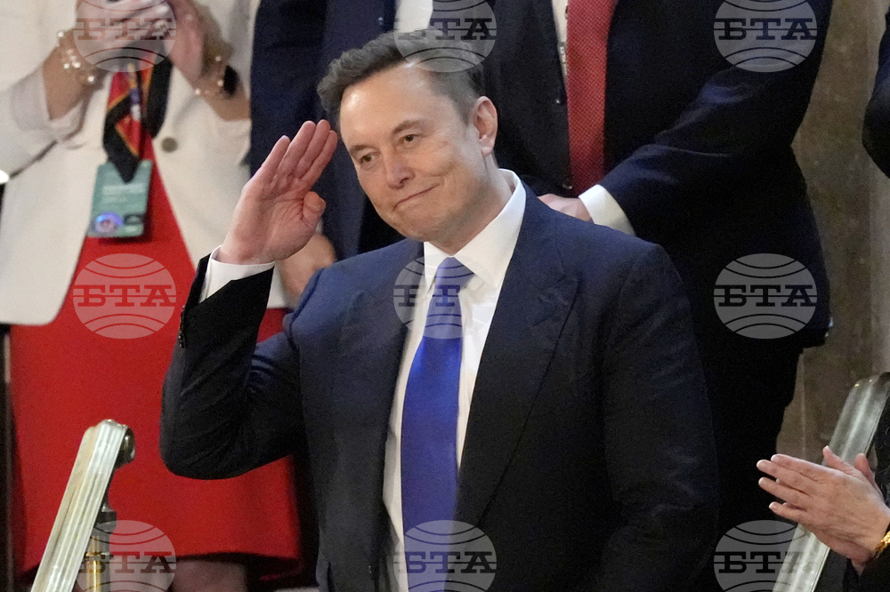 Чучело с лика на Илон Мъск бе запалено ритуално на карнавал в босненския град Мостар