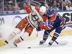 Ducks Oilers Hockey