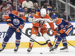 Ducks Oilers Hockey