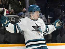 Hockey Sharks Sabres