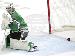 Devils Stars Hockey