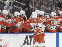 Ducks Oilers Hockey