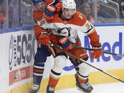 Ducks Oilers Hockey