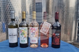 Село Орешак - винарска изба „Ноя“ - Христо Ковачев