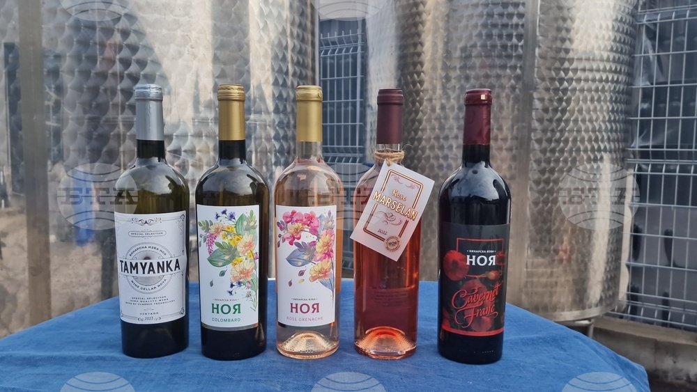 Село Орешак - винарска изба „Ноя“ - Христо Ковачев