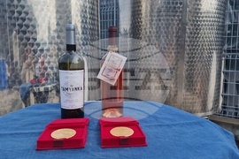 Село Орешак - винарска изба „Ноя“ - Христо Ковачев