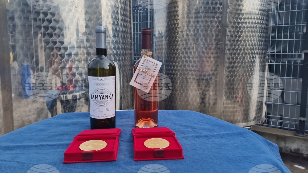 Село Орешак - винарска изба „Ноя“ - Христо Ковачев