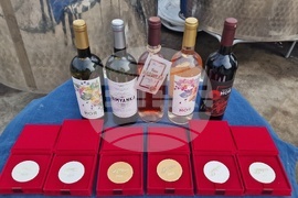 Село Орешак - винарска изба „Ноя“ - Христо Ковачев