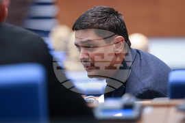 Парламент - заседание