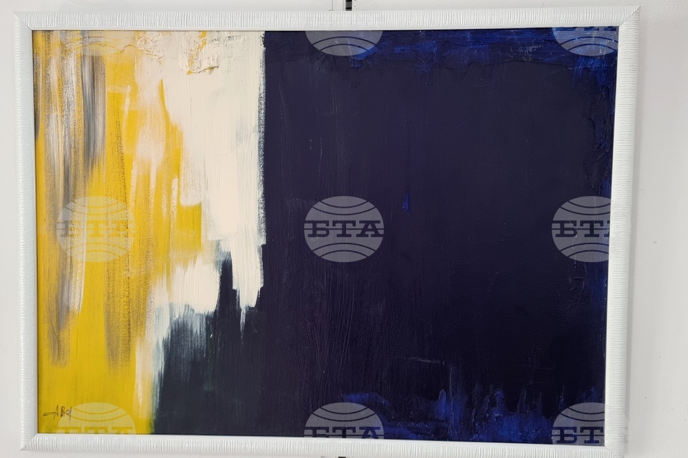 Монтана - изложба