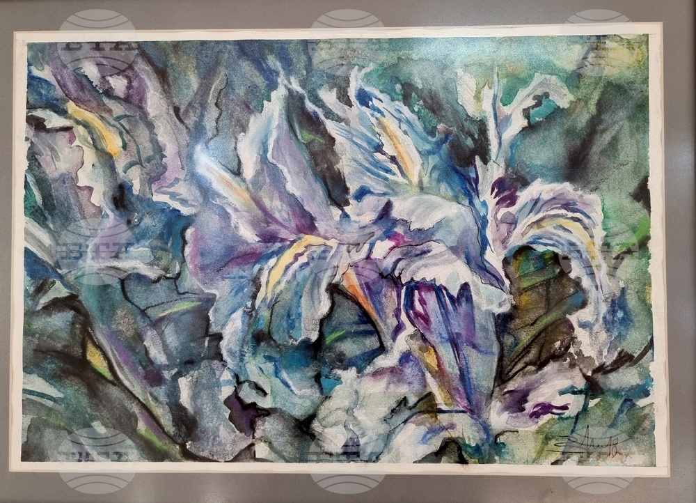 Монтана - изложба