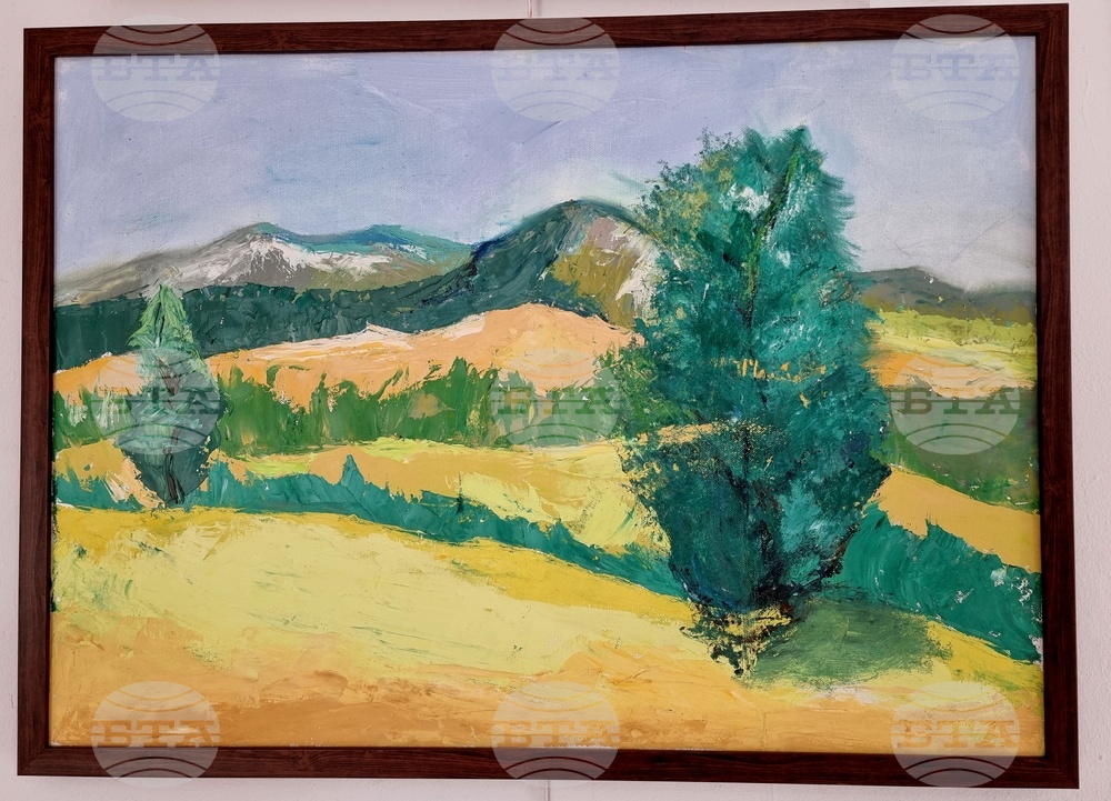 Монтана - изложба