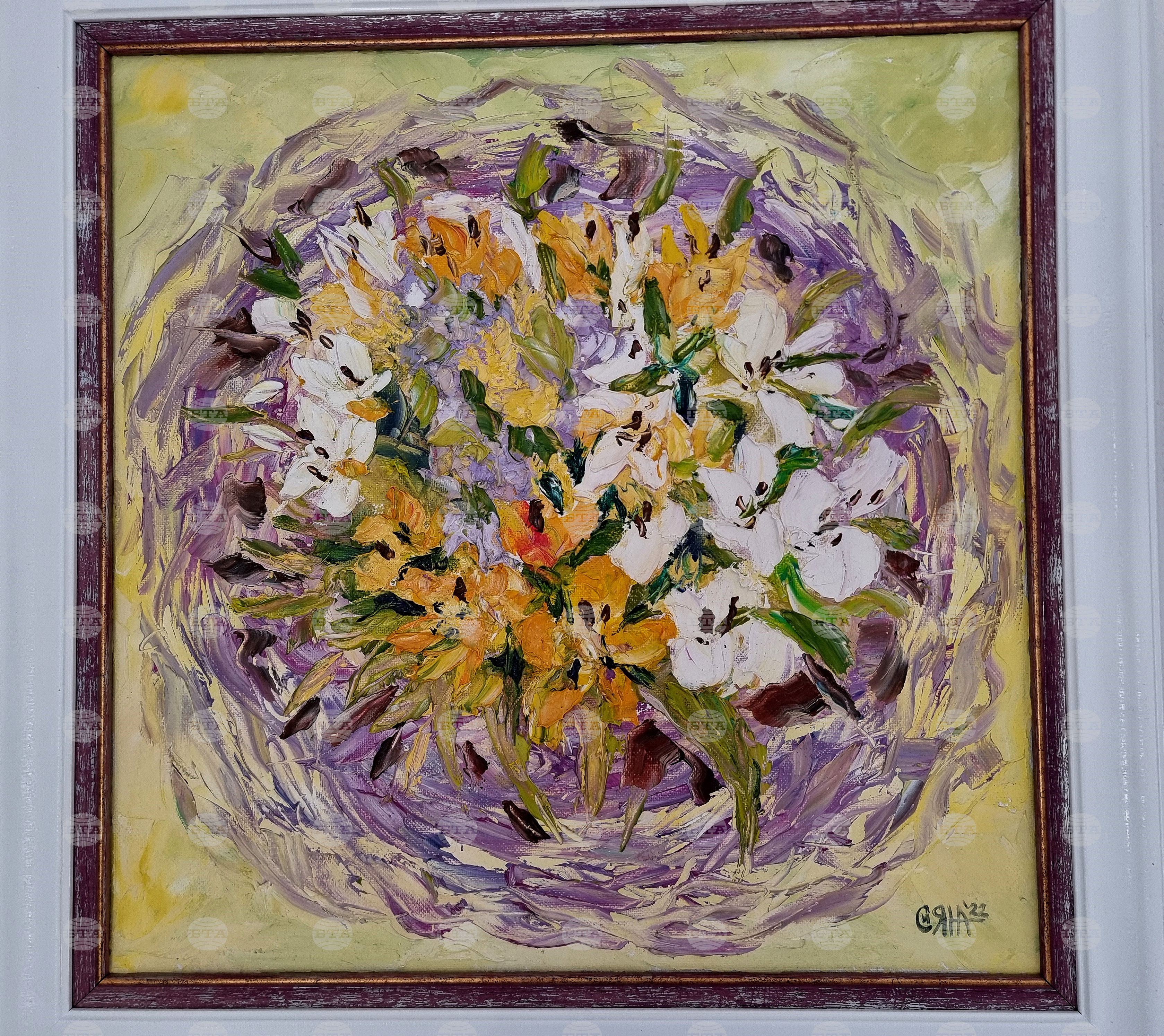 Монтана - изложба