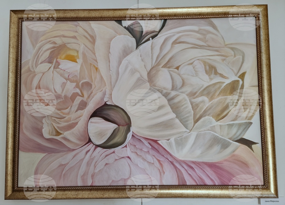 Монтана - изложба