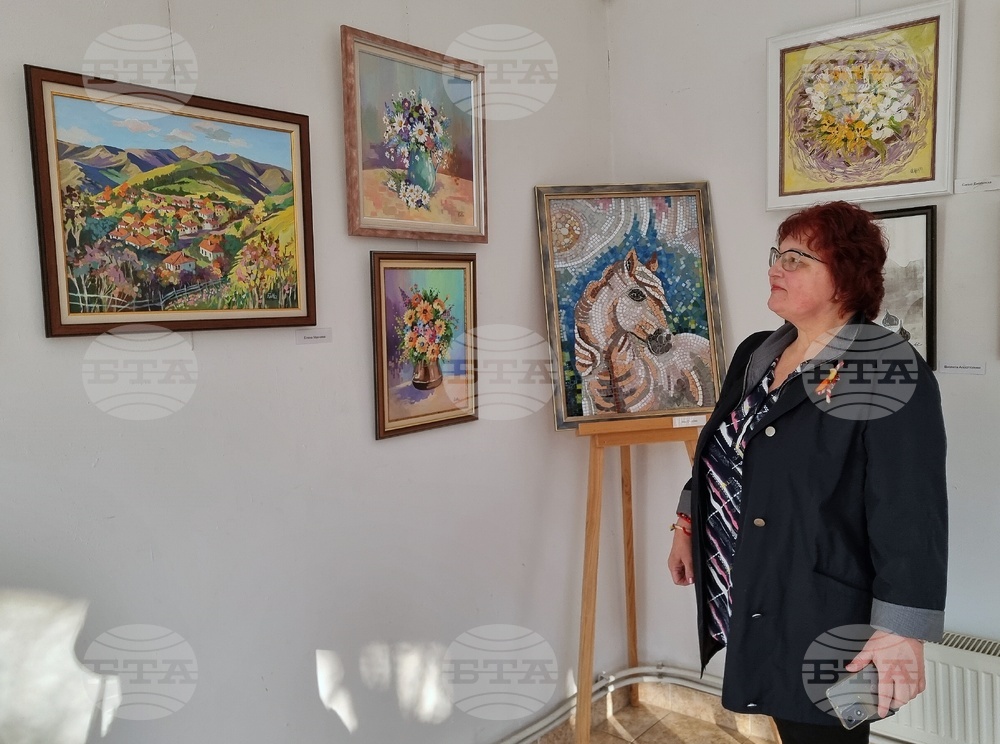 Монтана - изложба