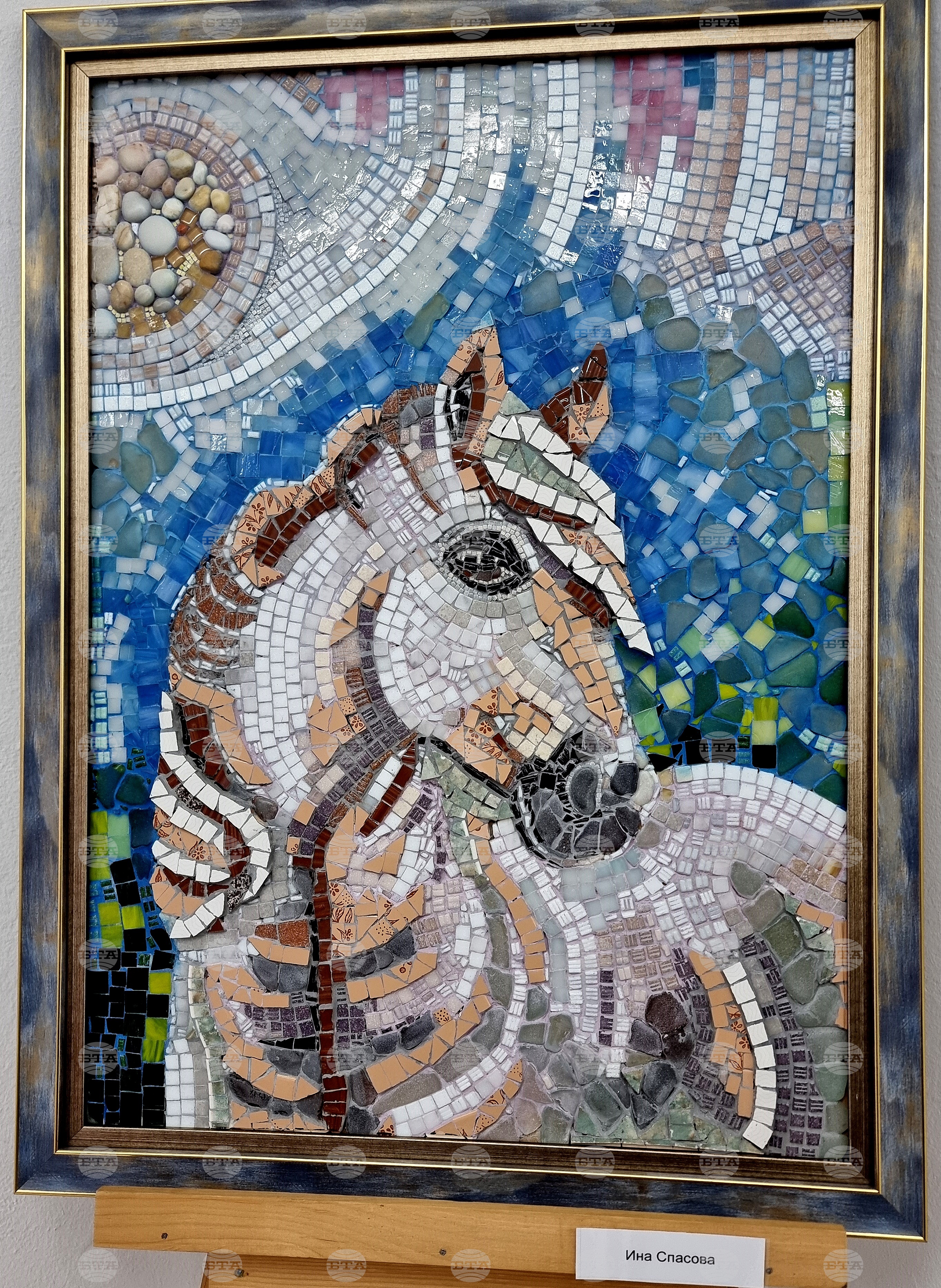 Монтана - изложба