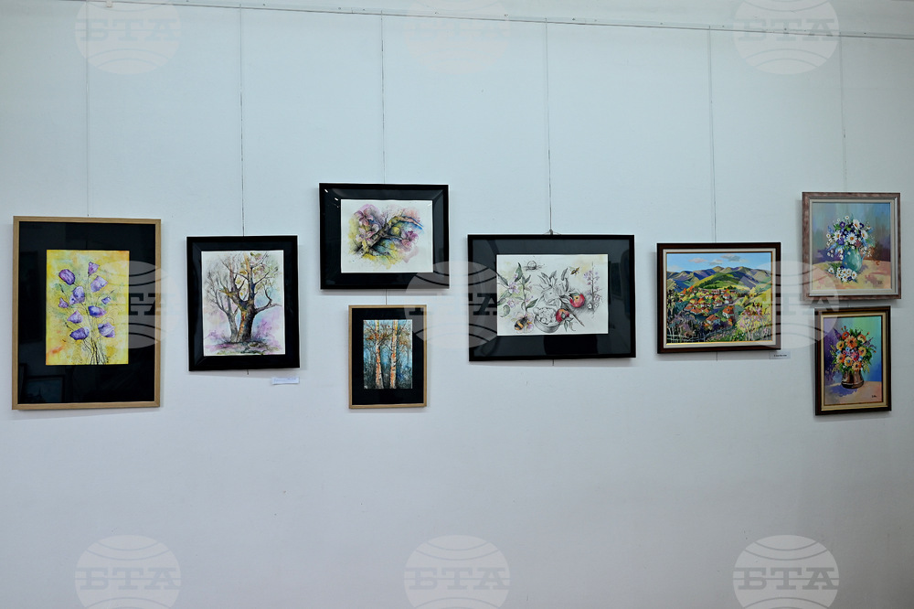 Монтана - изложба