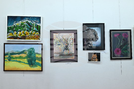 Монтана - изложба