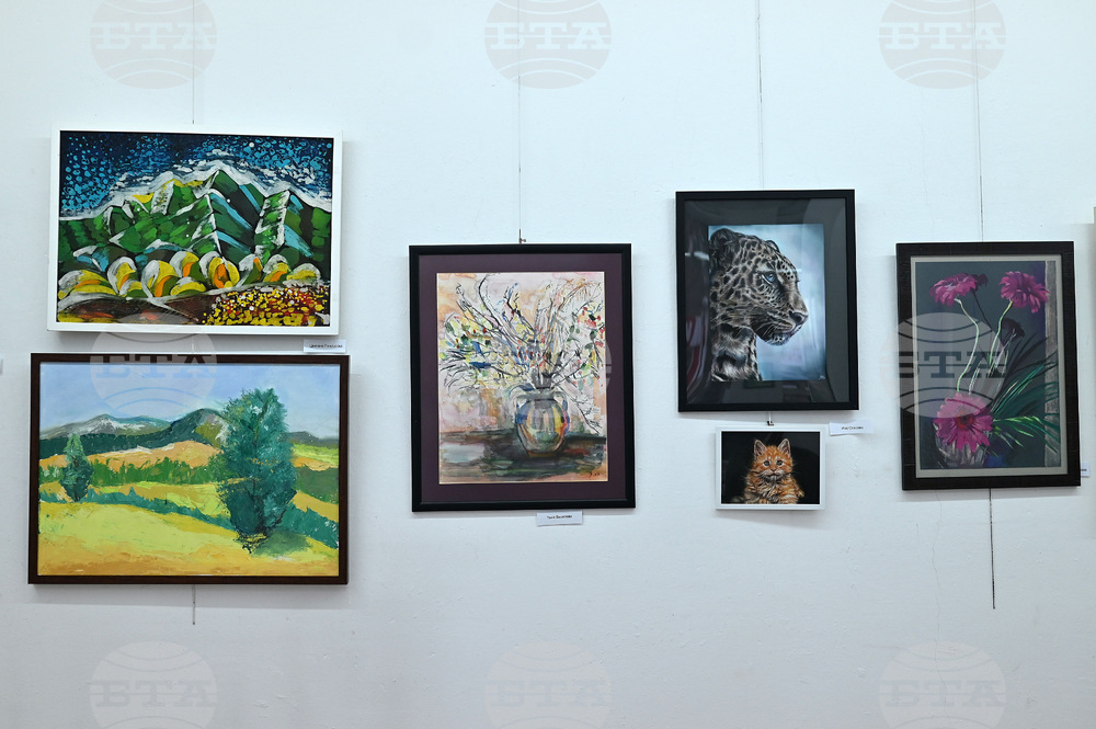 Монтана - изложба