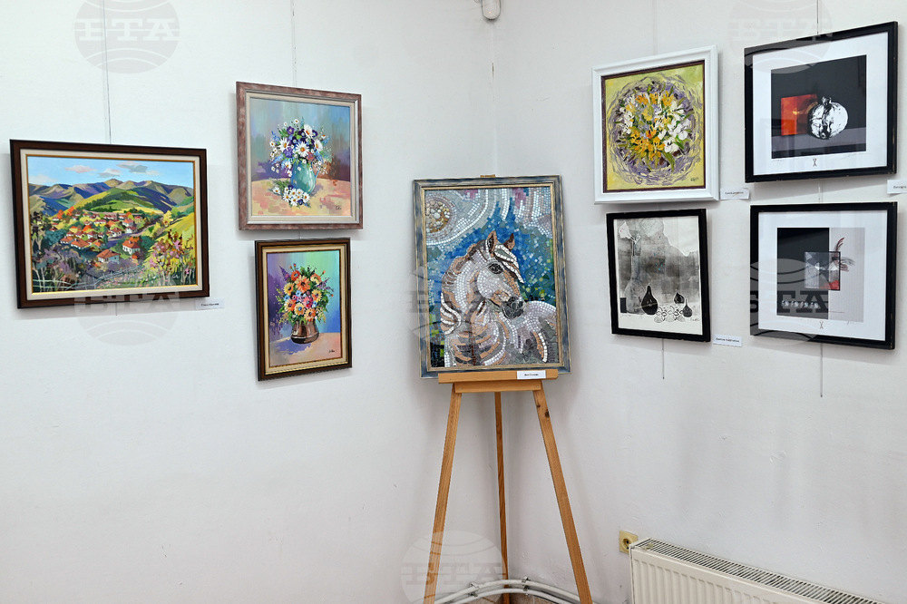 Монтана - изложба