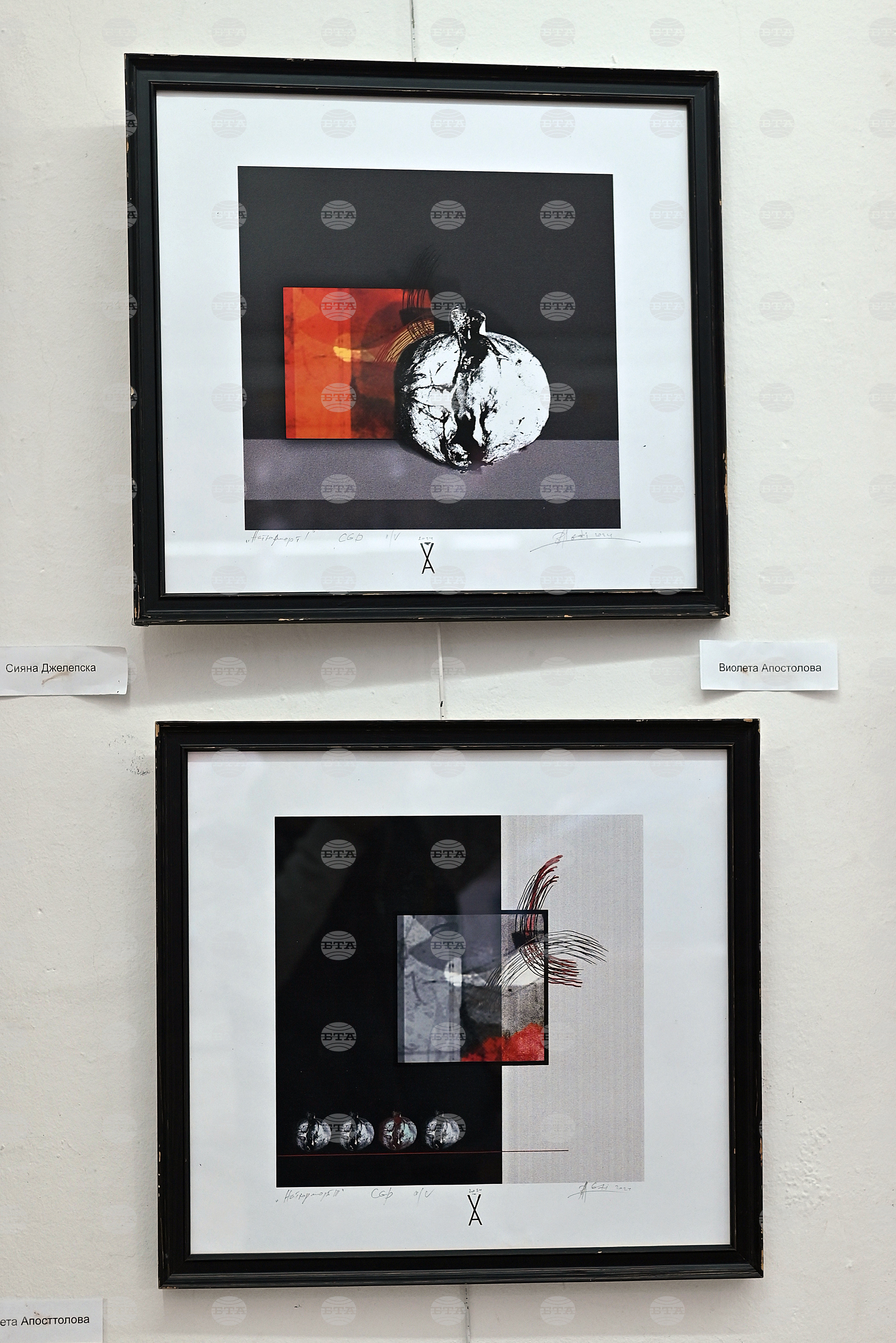 Монтана - изложба