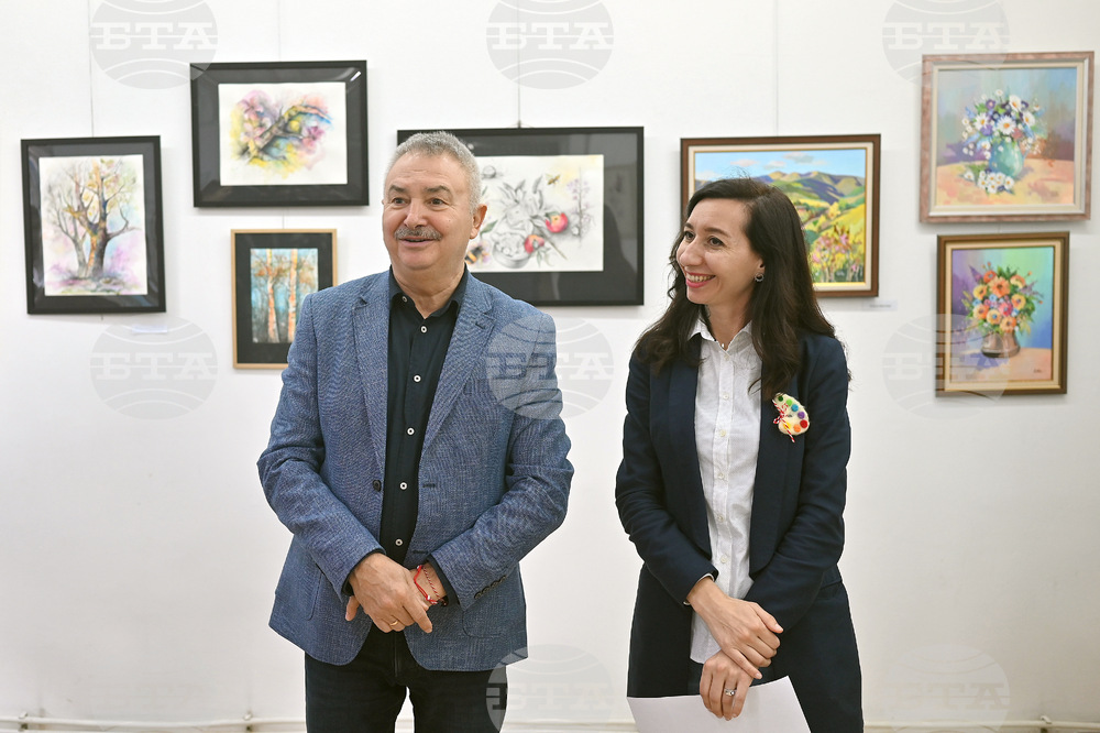 Монтана - изложба