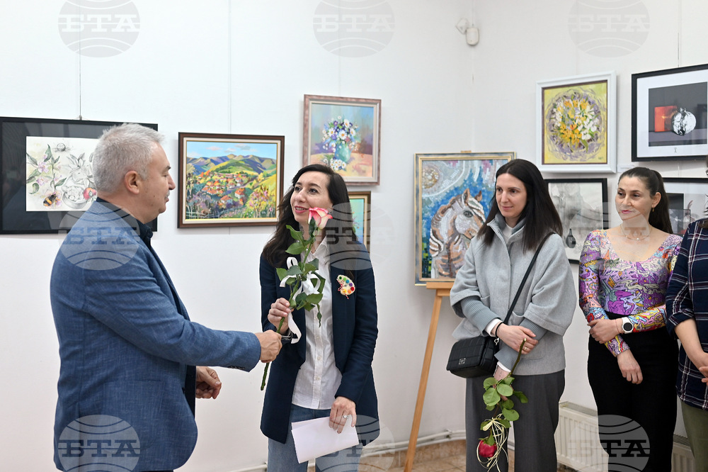 Монтана - изложба