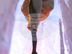 Изложбата Symbiosis. Снимка: НХА