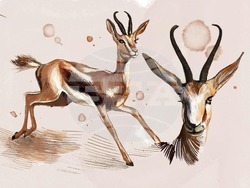 Изложбата Symbiosis. Снимка: НХА