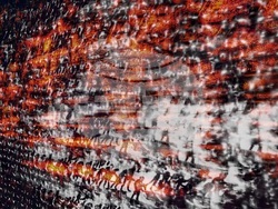 Изложбата „Пещерата на Платон“. Снимка: Галерия „Стубел“