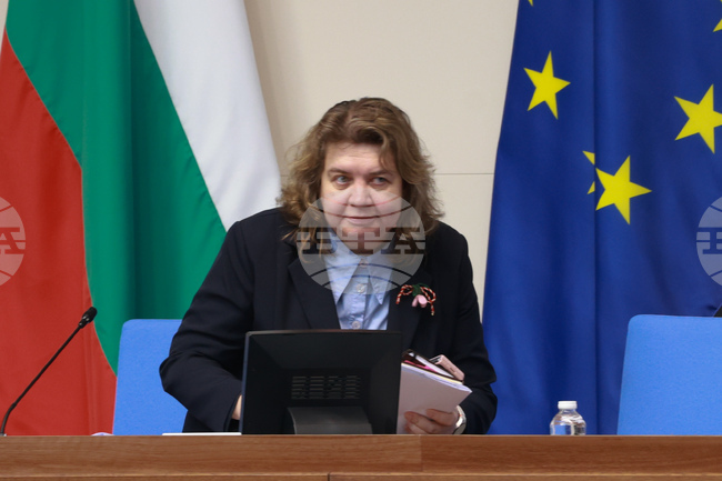 National Assembly Chair: Bulgarian Legislation Guarantees Equality between Men, Women in All Spheres of Regulated Legal-public Relations