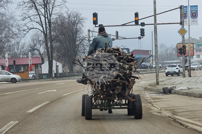 Незаконно добити дърва са иззети от три частни имота в Монтанско
