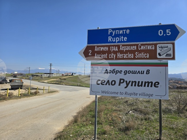 Първите щъркели пристигнаха в село Рупите