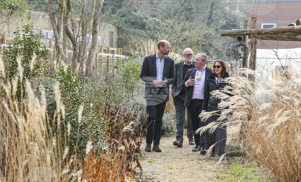 Britain Royals