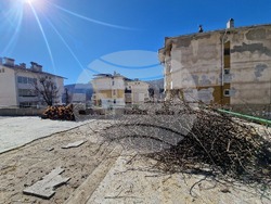 Смолян - сеч - дървета