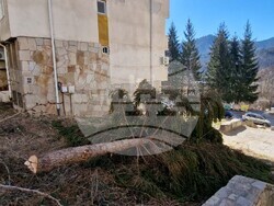 Смолян - сеч - дървета