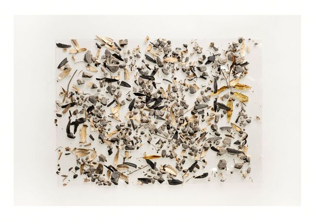 Synthesis Gallery Hosts Boryana Pandova's Exhibition "Dirty"