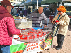 Добрич - производител на яйца - протест