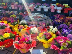 Снимка: Община Асеновград