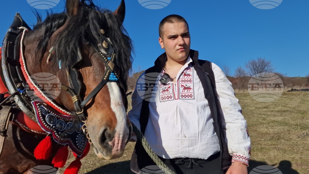 Тодоровден в пернишкото село Люлин ще се проведе изцяло и само с коне от породата „тежковози“, съобщиха организаторите 