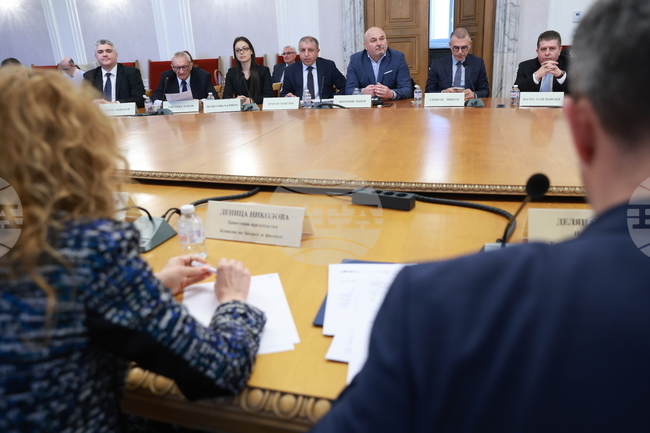 Комисията по бюджет и финанси изслуша кандидатите за председател на КФН и за подуправител на БНБ, ръководител на управление "Банков надзор"